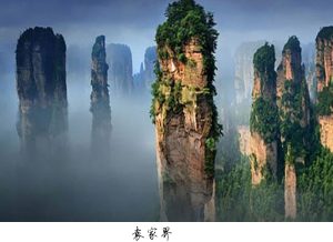 境外遊客張家界武陵源奇峰雲海風景