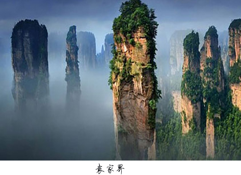 境外遊客張家界武陵源奇峰雲海風景