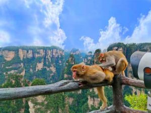 張家界2天深度旅遊｜本地資深導遊全程帶隊，純玩無購物最佳行程