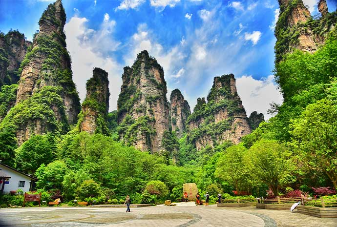 張家界國家森林公園石英砂岩峰林全景，在地導遊推薦袁家界觀景台風景