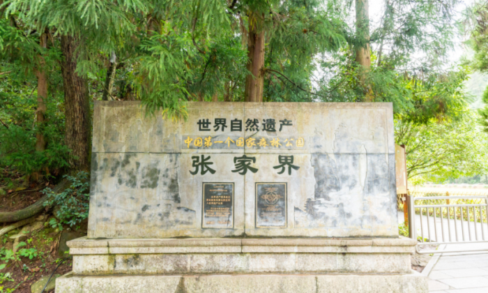 張家界國家森林公園世界自然遺產石碑，在地導遊湘西旅遊打卡點