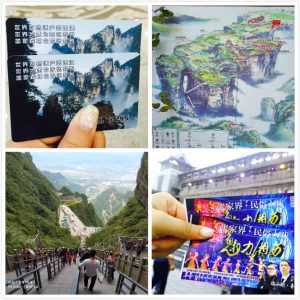 南張家界武陵源景區四格對照圖，包含真實山景步道、官方導覽圖與彩色手繪旅遊地圖
